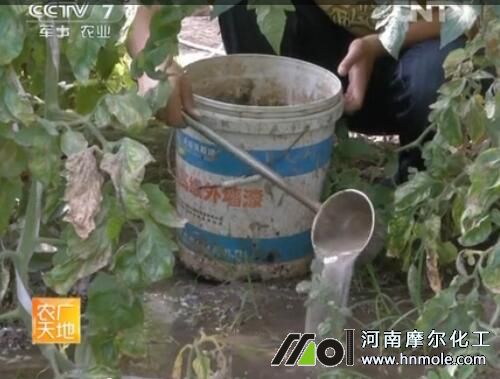 ʩ��ʲô�Л_ʩ