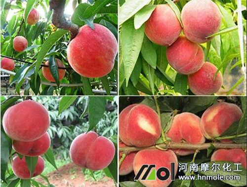 �Ҙ������������c