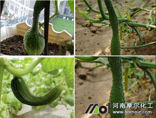 �S�σ��^�����g��ԭ��