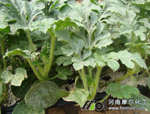 ��������ʩ��