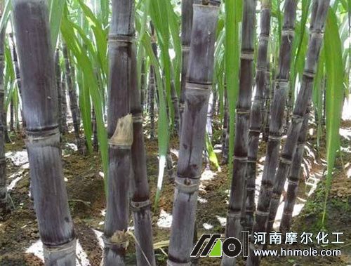 ����ˮ�ܷ������÷�