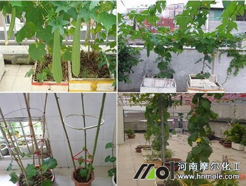 ���Խz��ʩ�ʷ���