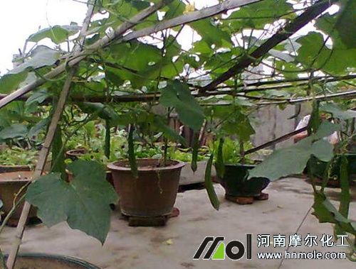 �z��ˮ�ܷ����_�÷�