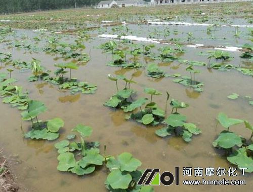 ɏź������c