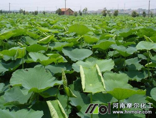 �Nɏź�����x��