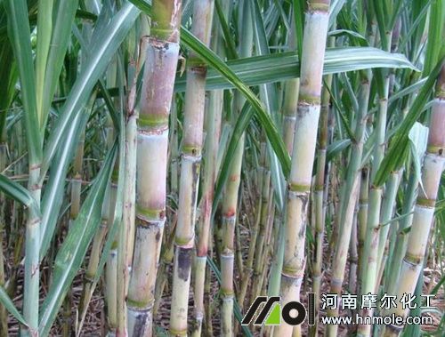 �N����ʩʲô������߮a