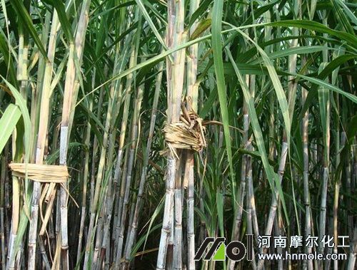 ����ˮ�ܷ��÷�