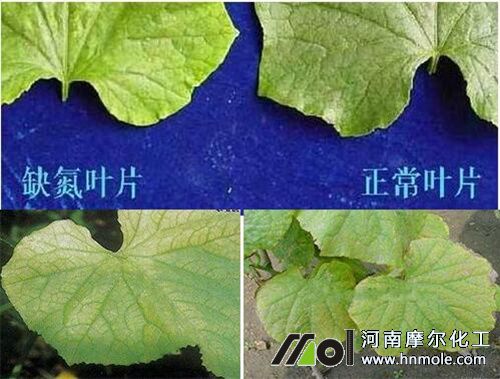 �S��ȱ���S�~