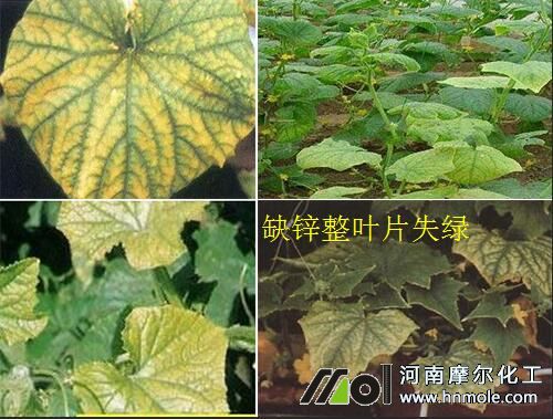 �S��ȱ�\�S�~