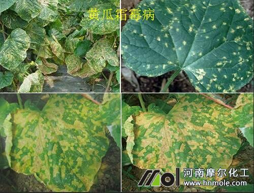 �S��˪ù���Y��