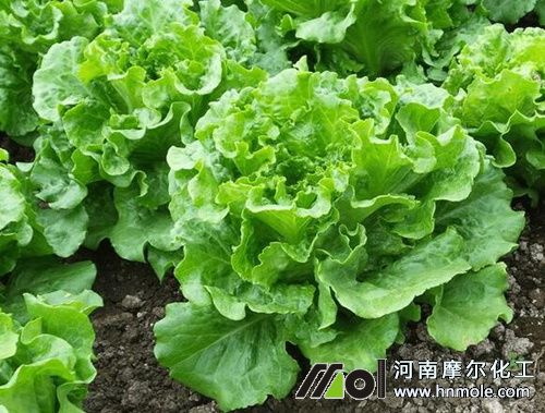 ����������c(di��n)