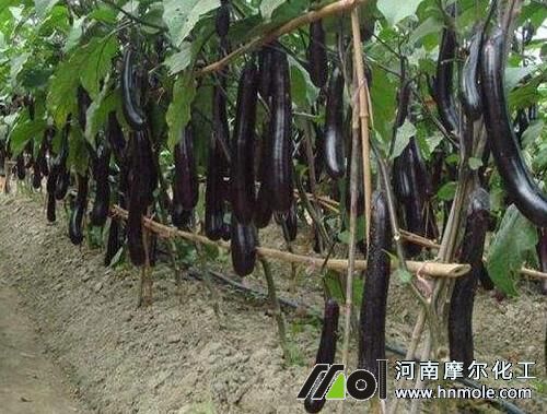 �������Ҏ��