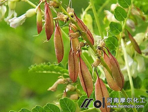 �S����ʲô����