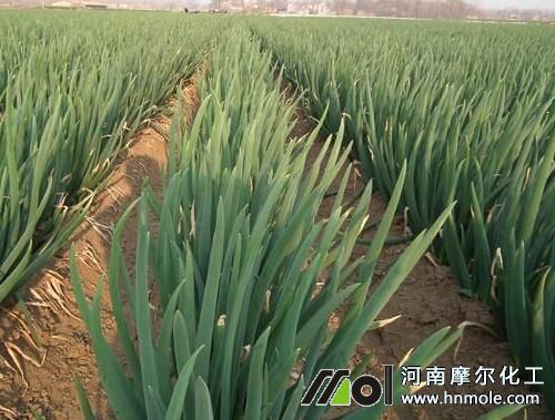 ���[��ʲô��