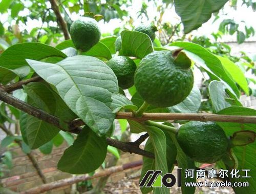 ��ʯ�����Ҏ��