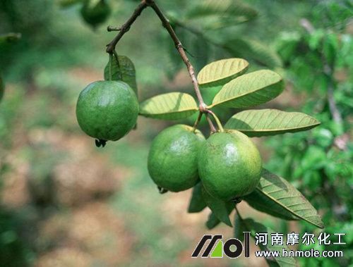 ��ʯ��ˮ�ܷ����_�÷�