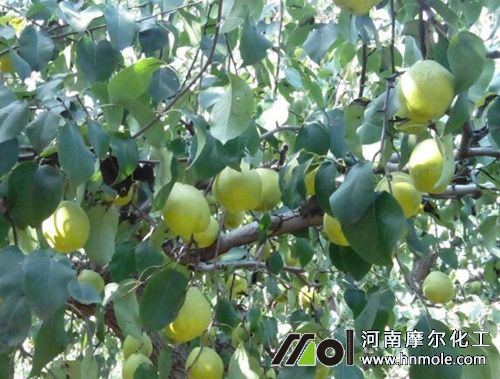 ���ʩ�ʕr�g�����g(sh��)