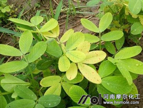 ����ȱ�F���F(xi��n)