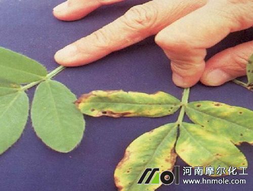 ����ȱ�����F(xi��n)