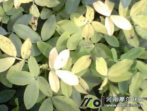 ����ȱ�\���F(xi��n)