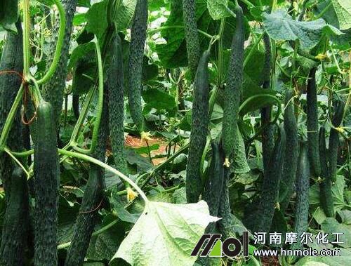 �S�ϽY����ˮ�ֹ���