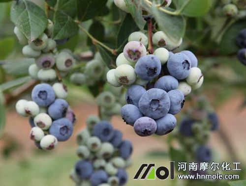 �{(l��n)ݮ׷�ʷ���