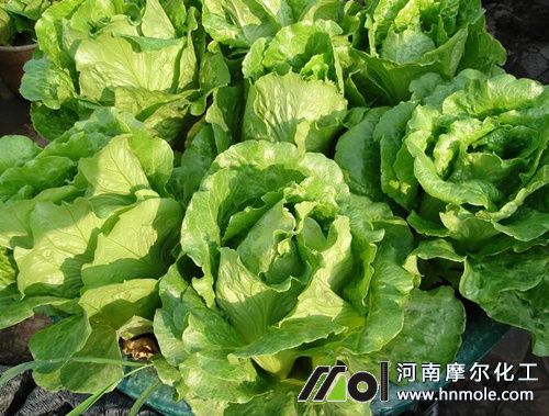 ����������c