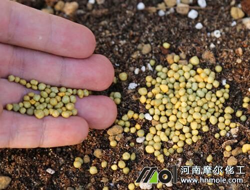 ��ጷ��w��