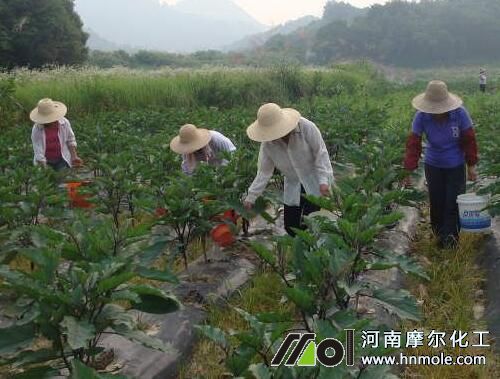 ����ʩ�ʷ���