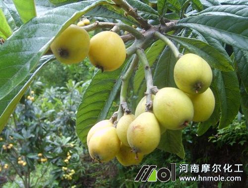 ����ʩ�ʷ���