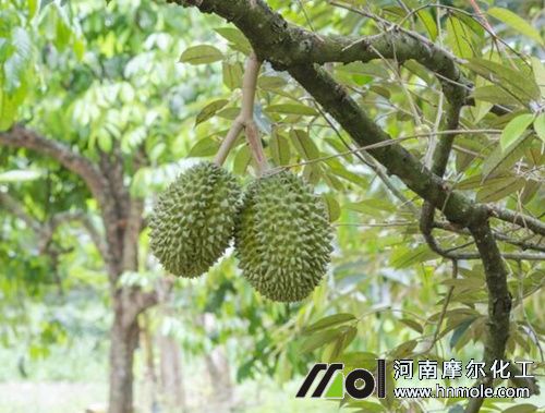 ��ɏˮ�ܷ�ʩ�÷���