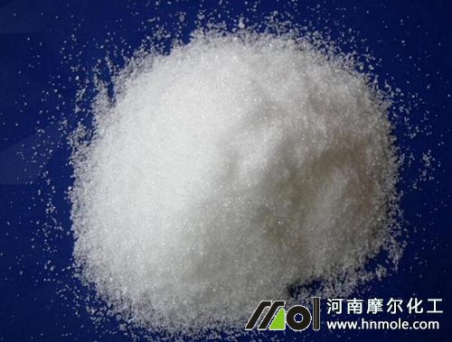 ������������̎����