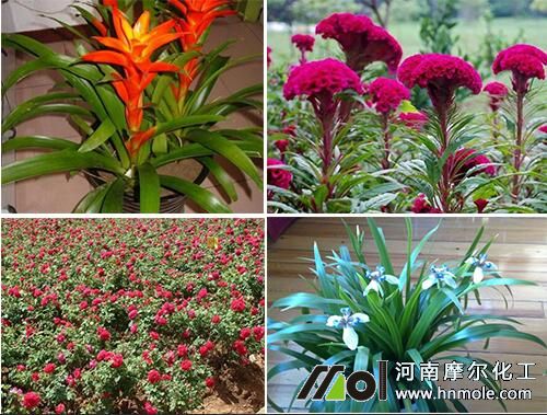 ���������m�ϻ��ܷN�