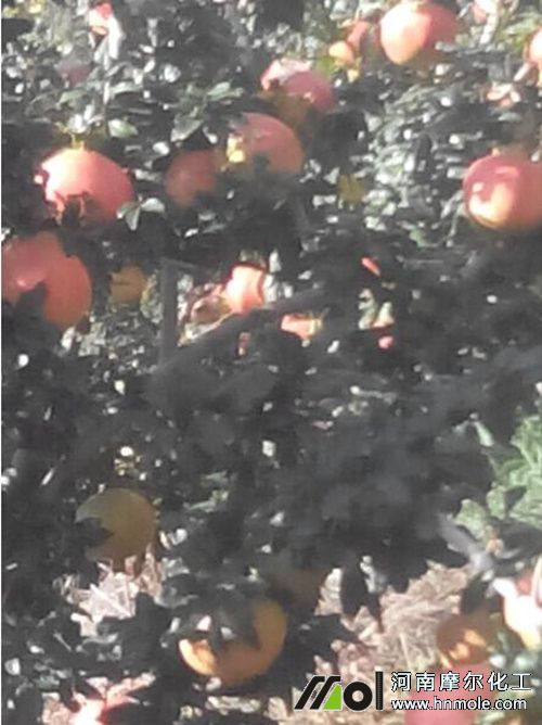 ʯ��ˮ�ܷ�ʹ��Ч��1