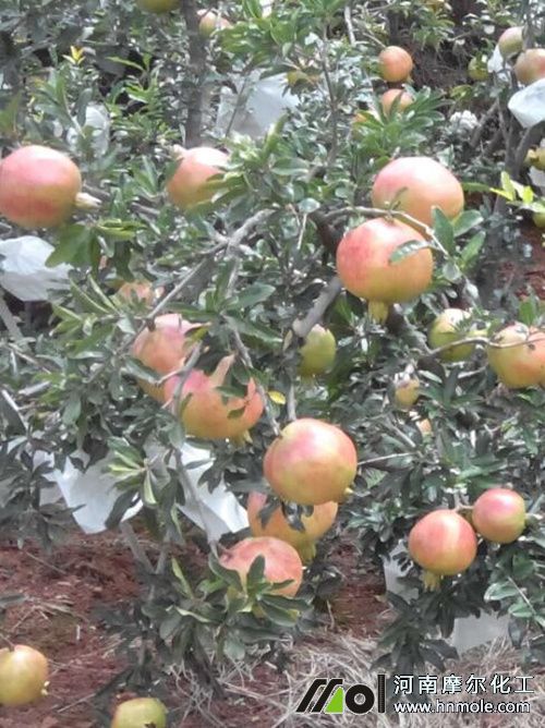 ʯ��ˮ�ܷ�ʹ��Ч��2