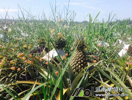 ���}���Ҏ�����c