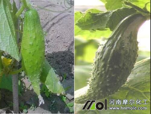 �S�ϼ���ʹ��^ԭ��