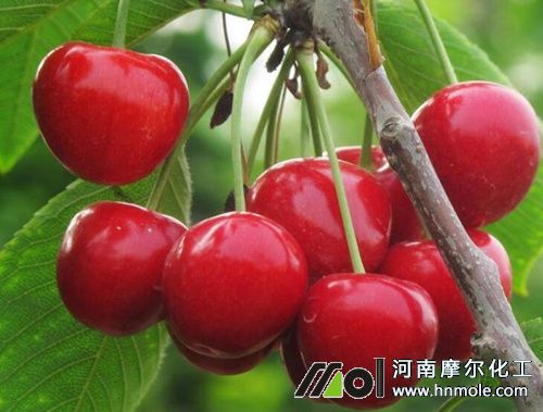 ��������ʩ�ʕr�g