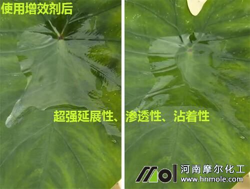 �~�����Ч��Ч������2