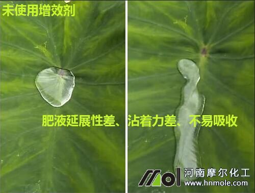 �~�����Ч��Ч������1