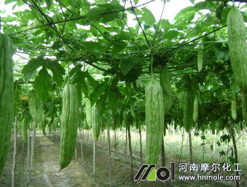 ��ϷNֲʩ�ʼ��g