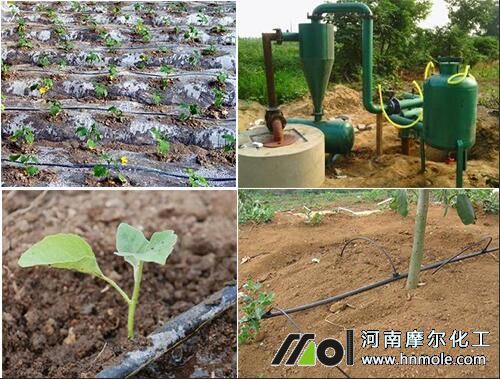 ˮ�ܷʵι�ÿ������