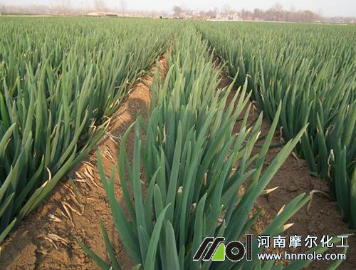 ˮ�ܷ���ôʹ��Ч����