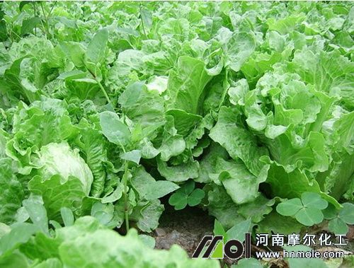 ����ʩ�ʷ���