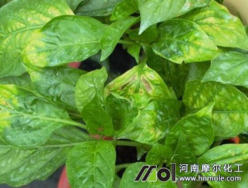 ����ȱ�}�~�ӱ��F(xi��n)