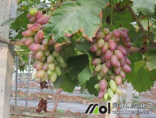 ���ѿ�����ɫ��������