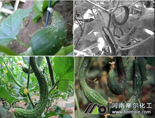 �S�ϼ��^��Ҫԭ��