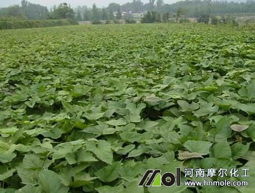 �t��ʩ�ʷ���