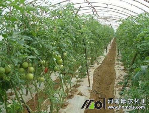 ���t��ʩ�ʼ��g