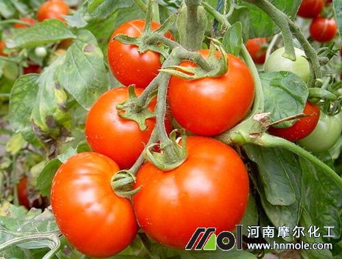 ����ˮ�ܷ��÷�